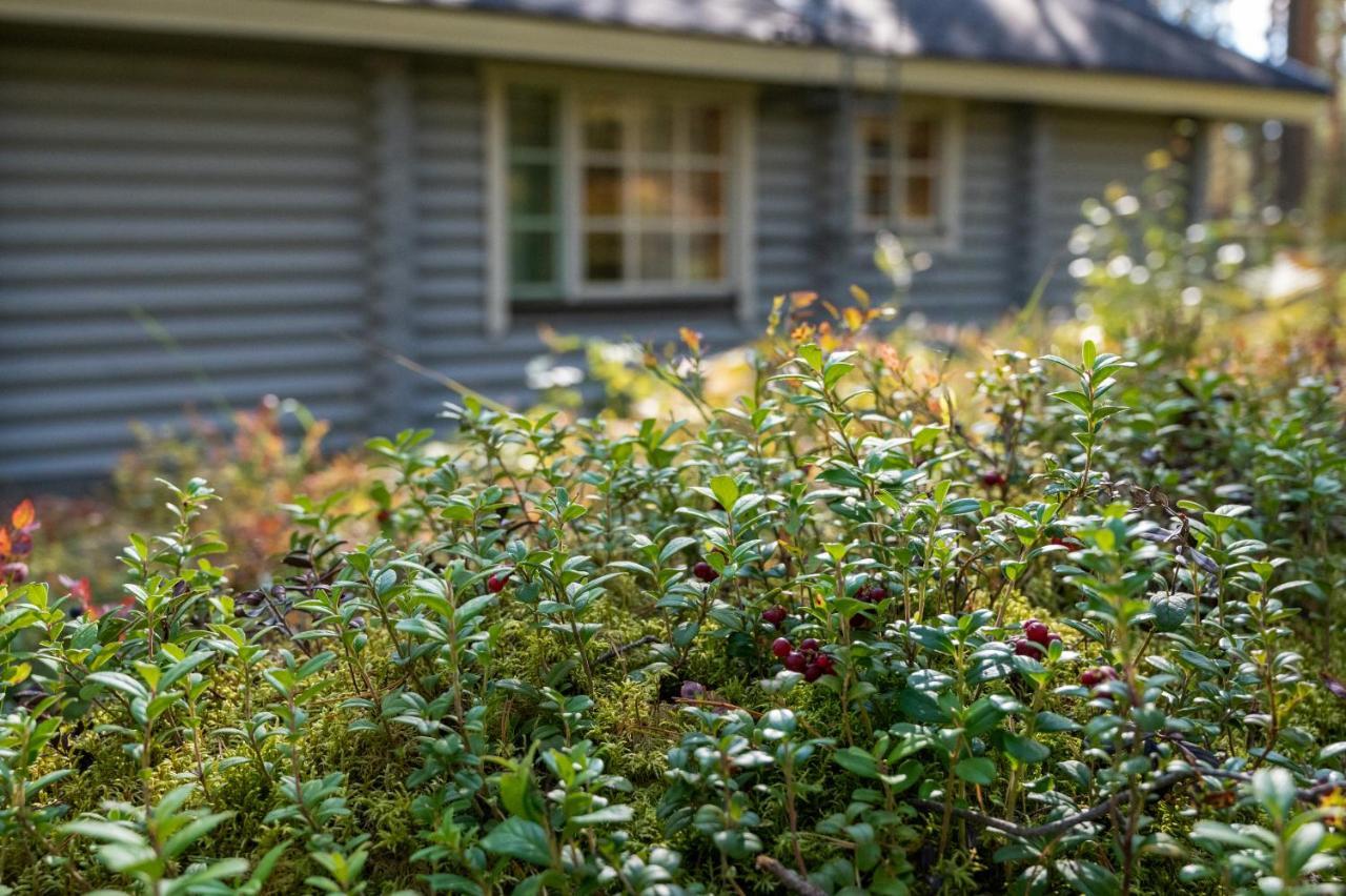 Saimaan Kultaranta Villa Puumala Bagian luar foto